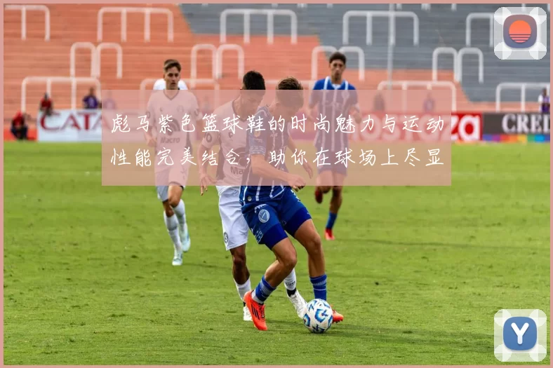 彪马紫色篮球鞋的时尚魅力与运动性能完美结合，助你在球场上尽显风采