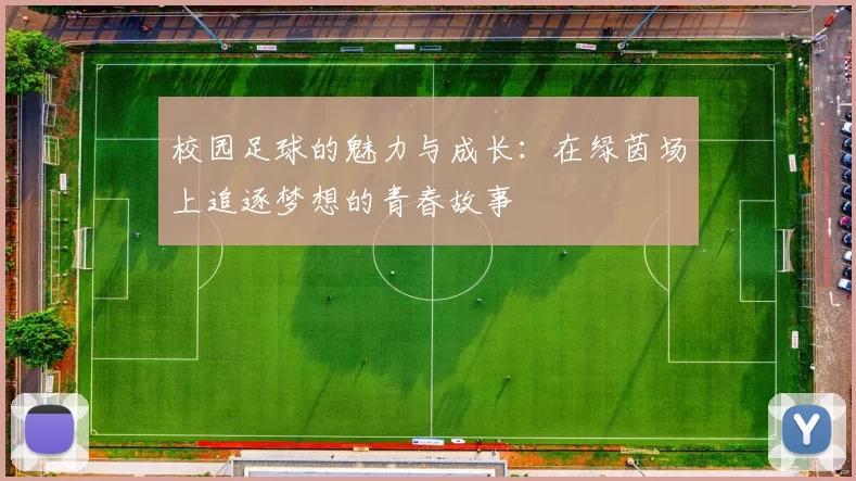 校园足球的魅力与成长：在绿茵场上追逐梦想的青春故事