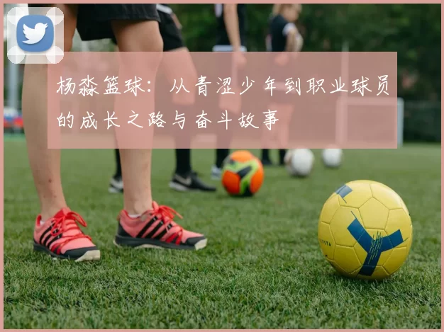 杨淼篮球：从青涩少年到职业球员的成长之路与奋斗故事