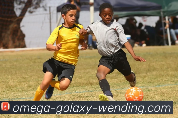 问鼎娱乐APP 封面图